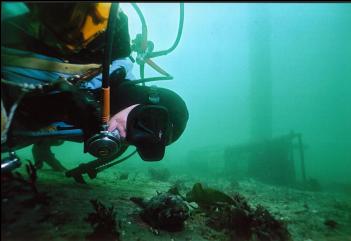 LOOKING AT BUFFALO SCULPIN UNDER PIER