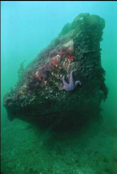 BOW OF WRECK