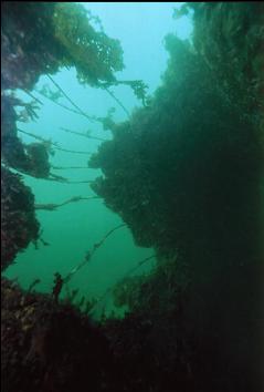 LOOKING OUT OF HOLE IN WRECK