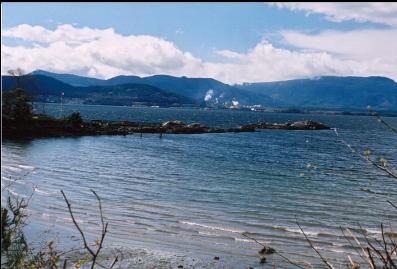 REEF WITH PULP MILL IN BACKGROUND